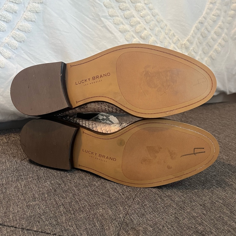 Lucky Brand Snakeskin Ankle Boots - Picture 5 of 6